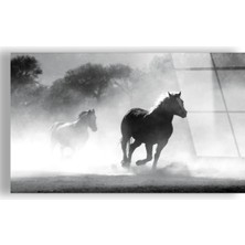 Zevahir Mobilya Dekorasyon Kırılmaz Cam Siyah At Tablo