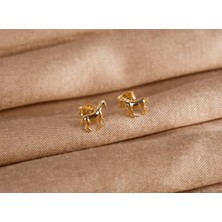 Safir Kuyumculuk Noachus At Küpe