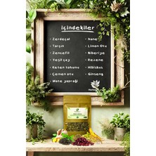 Herbal Detox Bitkisel Detox Form Çayı 50 gr