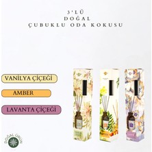 La Melisse Fragrances 3'lü Set Vanilya Çiçeği, Amber, Lavanta Çiçeği Bambu Çubuklu Doğal Oda Kokusu Reed Diffuser 50 ml