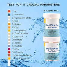 Decisive Ev Için 17'si 1 Arada Komple Su Test Kiti, 100 Şerit + Içme Suyu Için 2 Su Test Kiti Kolay Test, Ph, Kurşun (Yurt Dışından)