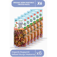 Organik Ruşeymli Sebzeli Burgu Makarna 250 GR6PAKET Organic Wheat Vegetable Twisted Pasta 250GR6PACK