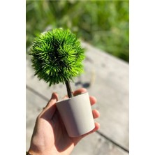 Ciyu Yapay Top Ağaç Saksı Mini Top Ağaç