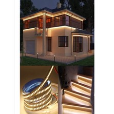 Cata CT-4538 Gold İç Mekan 12 W 240 Çipli Yüksek Lumen Günışığı Renk LED Şerit 12 V