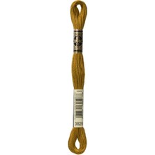 DMC Muline Iplik 3829