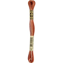 DMC Ebruli Muline Iplik 69