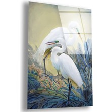 Zevahir Mobilya Dekorasyon Kırılmaz Cam Beyaz Kuş Tablo