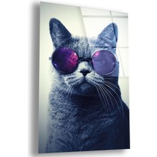 Zevahir Mobilya Dekorasyon Kırılmaz Cam Kedi Tablo
