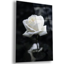 Zevahir Mobilya Dekorasyon Kırılmaz Cam Beyaz Gül Tablo