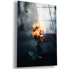 Zevahir Mobilya Dekorasyon Kırılmaz Cam Mahkeme Tablo