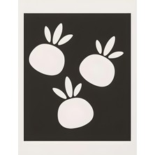 Aktüel Matisse - Boho - Art Deco - Soyut - Doğa ( 3 Lü Çerçevesiz ) Poster - Afiş - Tablo KR2C00704/