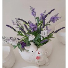 Tavşanlı Saksı Yanağından Öpen