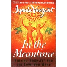 In The Meantime / Finding Yourself And The Love You Want - Iyanla Vanzant