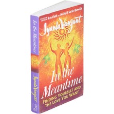 In The Meantime / Finding Yourself And The Love You Want - Iyanla Vanzant