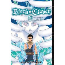 Black Clover, Vol. 30 / Volume 30 - Yuki Tabata