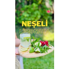 Neşeli Mutfak Limonata Konsantre 500 ml