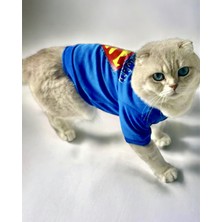 Kemique Mavi Superman Kedi Tişörtü Kedi Kıyafeti Kedi Elbisesi