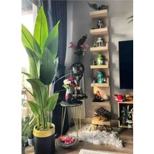 Starlice Silindir Saksi 18LI