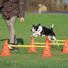 Trixie Köpek Agility Oyuncağı 3 Adet 23X30X78 cm