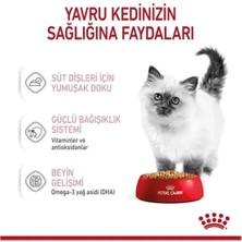 Royal Canin Kitten Jelly Pouch Yavru Konserve Kedi Maması 85 gr