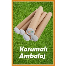 Bizerk Görsel Sevimli Denizkızı Temalı Çocuk /bebek Odası Anaokulu Kreş Boy Ölçer Renkli Yapışkanlı Dekoratif Cam Kapı Duvar Sticker 

