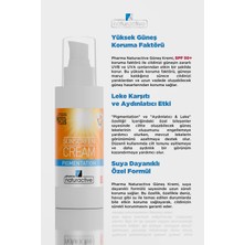 Naturactive Pharmanaturactive Güneş Lekelerine Karşı Etkili Güneş Kremi, 100 ML