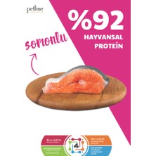 Petline Kısırlaştırılmış Somonlu Yetişkin Kedi Maması 20KG ( 2 x 10 Kg ) - SENSIPLUS