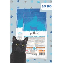 Petline Hamsili Deniz Mahsüllü Yetişkin Kedi Maması 20KG  (2 x 10Kg) - ANCHOVY