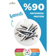 Petline Hamsili Deniz Mahsüllü Yetişkin Kedi Maması 20KG  (2 x 10Kg) - ANCHOVY