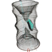 Captain Karides Pinteri Yaylı Helezon Model 33X80 cm