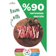 Petline Hypoallergenic Kuzu Etli Yetişkin Kedi Maması 3KG ( 2 x 1.5Kg )