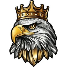 TSC Kral Kartal Sticker Araba, Motorsiklet, Araçetiket Cam Sticker 19CM