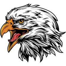 TSC Eagle Kartal Oto, Motorsiklet, Araç, Laptop Sticker 19CM