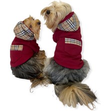 Kemique Bb Limited Bordo Kapşonlu Köpek Sweatshirt