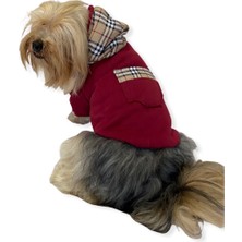 Kemique Bb Limited Bordo Kapşonlu Köpek Sweatshirt