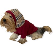 Kemique Bb Limited Bordo Kapşonlu Köpek Sweatshirt