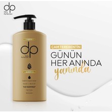 dp Daily Perfection Şampuan Çam Terebentin 500 ml X 4 Adet