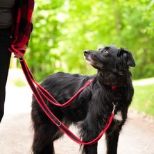 VSLT Handmade Çift Karabinalı Köpek Gezdirme Kayışı. (15 Kilo Ile 40 Kilo Arası)