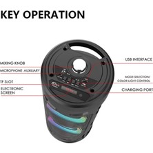 Karaoke Mikrofonlu Bluetooth Hoparlör LED Işıklı Taşınabilir Kablosuz Speaker