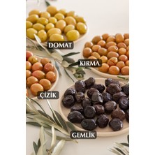 Kozoliv Doğal Gemlik Çeşidi Yağlı Siyah Zeytin 650 gr Cam Kavanoz