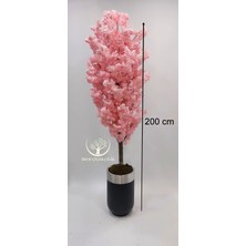 Siyah Gümüş Saksıda Pembe Bahar Dalı - Premium