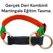 VSLT Handmade Gerçek Derili Orta Irk Köpek Martingale Eğitim Tasma. Gerçek Derili Köpek Tasma