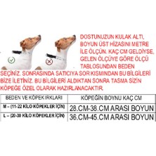 VSLT Handmade Gerçek Derili Orta Irk Köpek Martingale Eğitim Tasma. Gerçek Derili Köpek Tasma