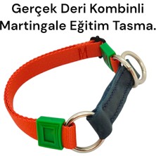 VSLT Handmade Gerçek Derili Orta Irk Köpek Martingale Eğitim Tasma. Gerçek Derili Köpek Tasma