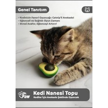 Dr. Paw Avokado Şeklinde Kedi Nanesi Oyun Topu | Kediler Için Eğlenceli Otlu Oyuncak