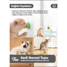 Dr. Paw Avokado Şeklinde Kedi Nanesi Oyun Topu | Kediler Için Eğlenceli Otlu Oyuncak