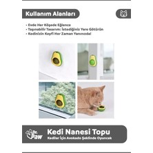 Dr. Paw Avokado Şeklinde Kedi Nanesi Oyun Topu | Kediler Için Eğlenceli Otlu Oyuncak