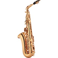 Conn Selmer - Alto Saksofon As651