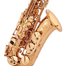 Conn Selmer - Alto Saksofon As651