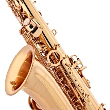 Conn Selmer - Alto Saksofon As651